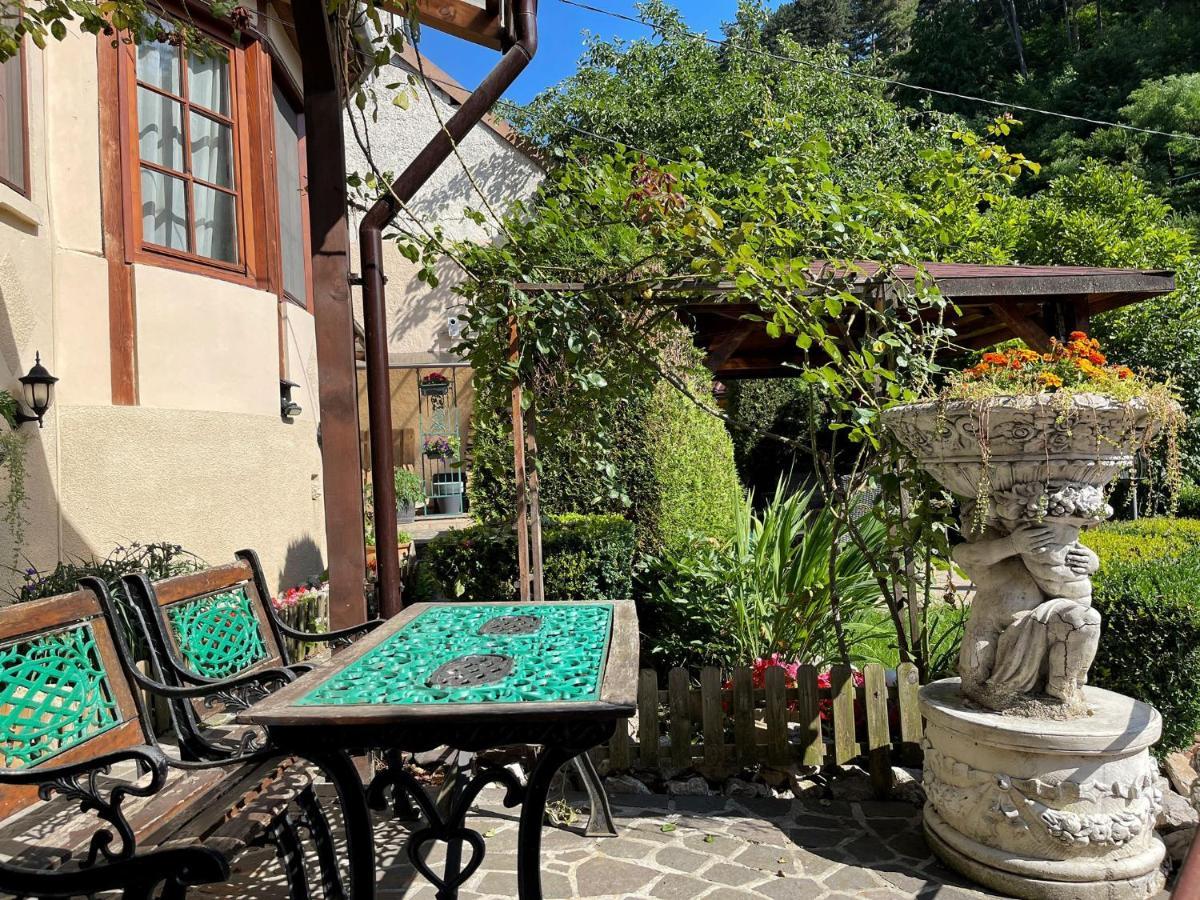 Dream House Brasov Hotell Exteriör bild